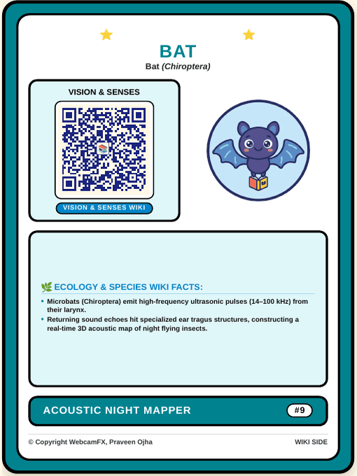 Little Brown Bat QR Card Back