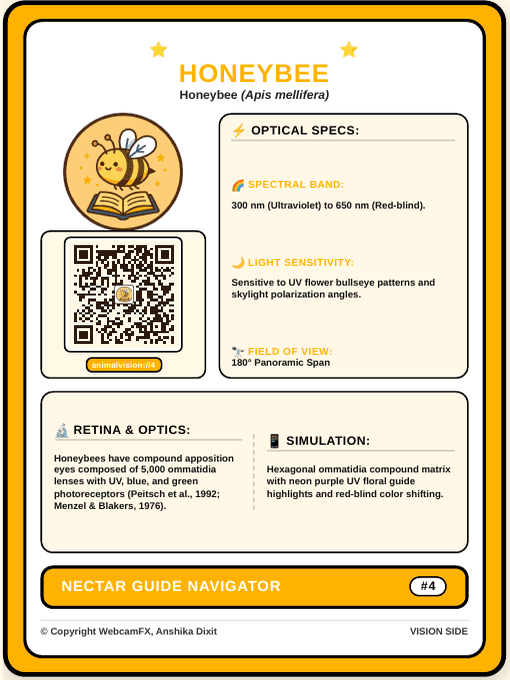Honeybee QR Card Front