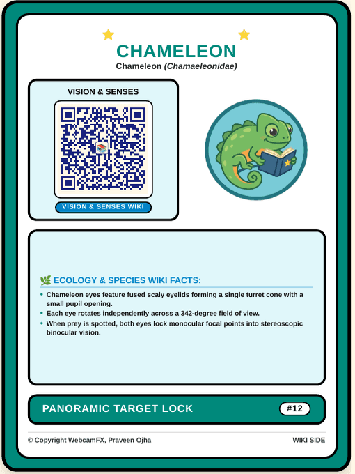 Panther Chameleon QR Card Back