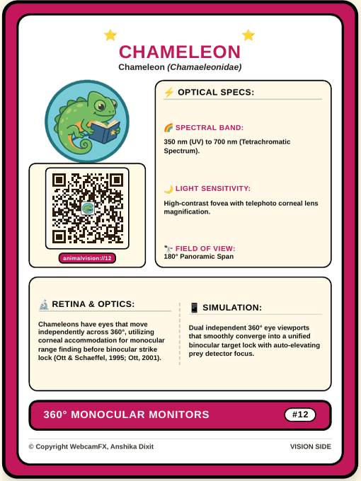Panther Chameleon QR Card Front