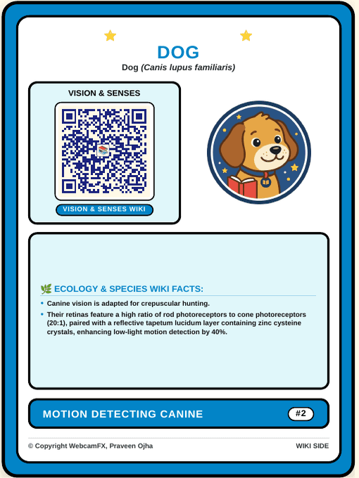 Domestic Dog Card Back