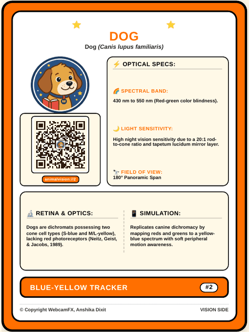 Domestic Dog Card Front