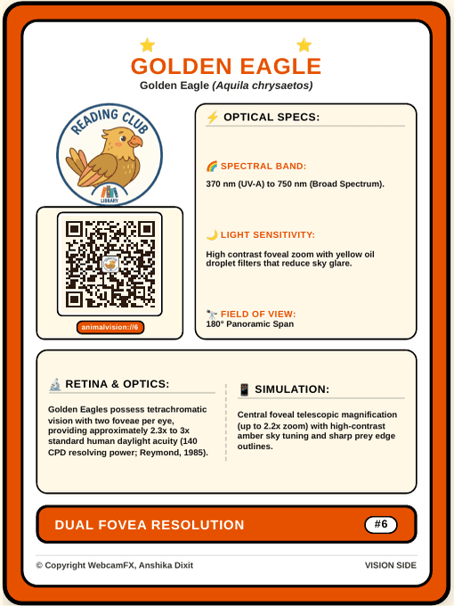 Golden Eagle QR Card Front