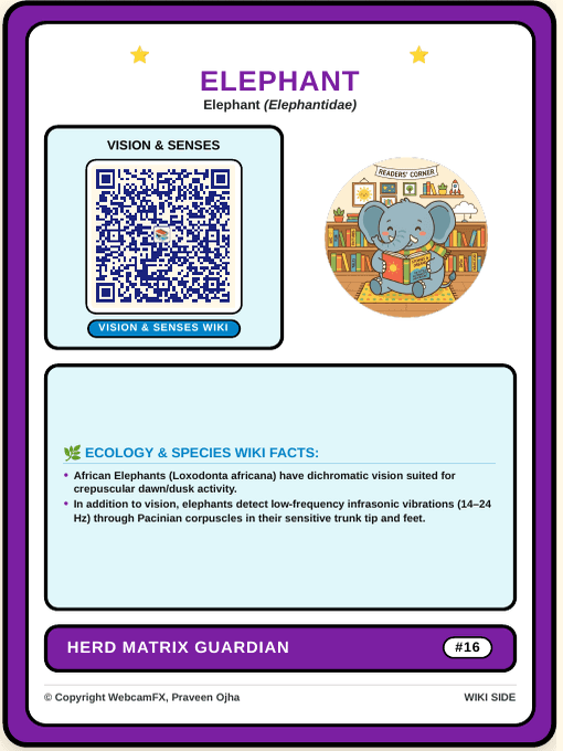 African Elephant QR Card Back