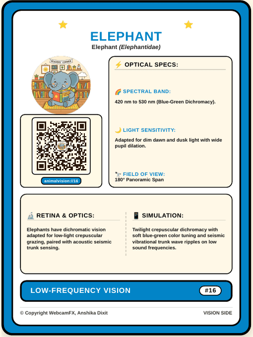 African Elephant QR Card Front