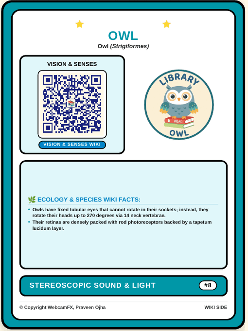 Great Horned Owl QR Card Back
