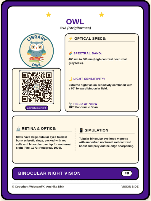 Great Horned Owl QR Card Front
