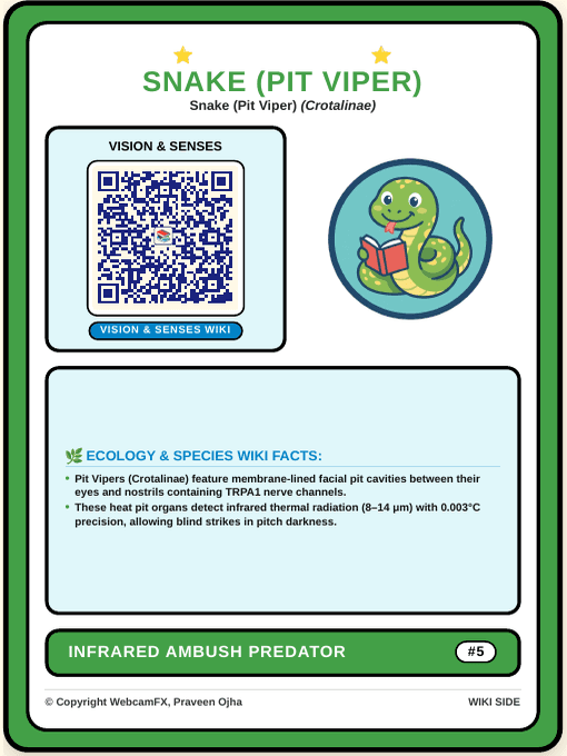 Pit Viper QR Card Back