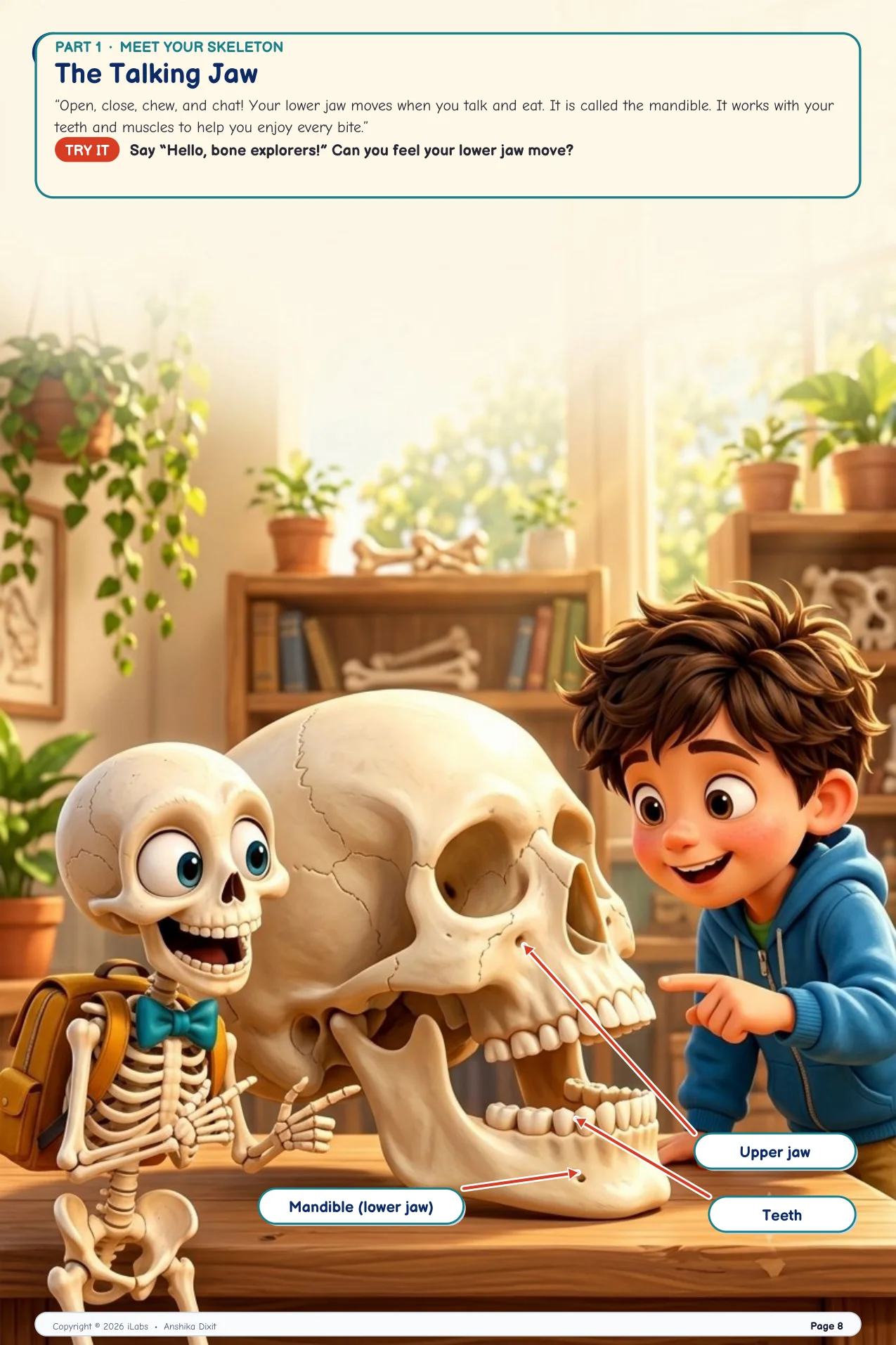 The Talking Jaw & Facial Bones