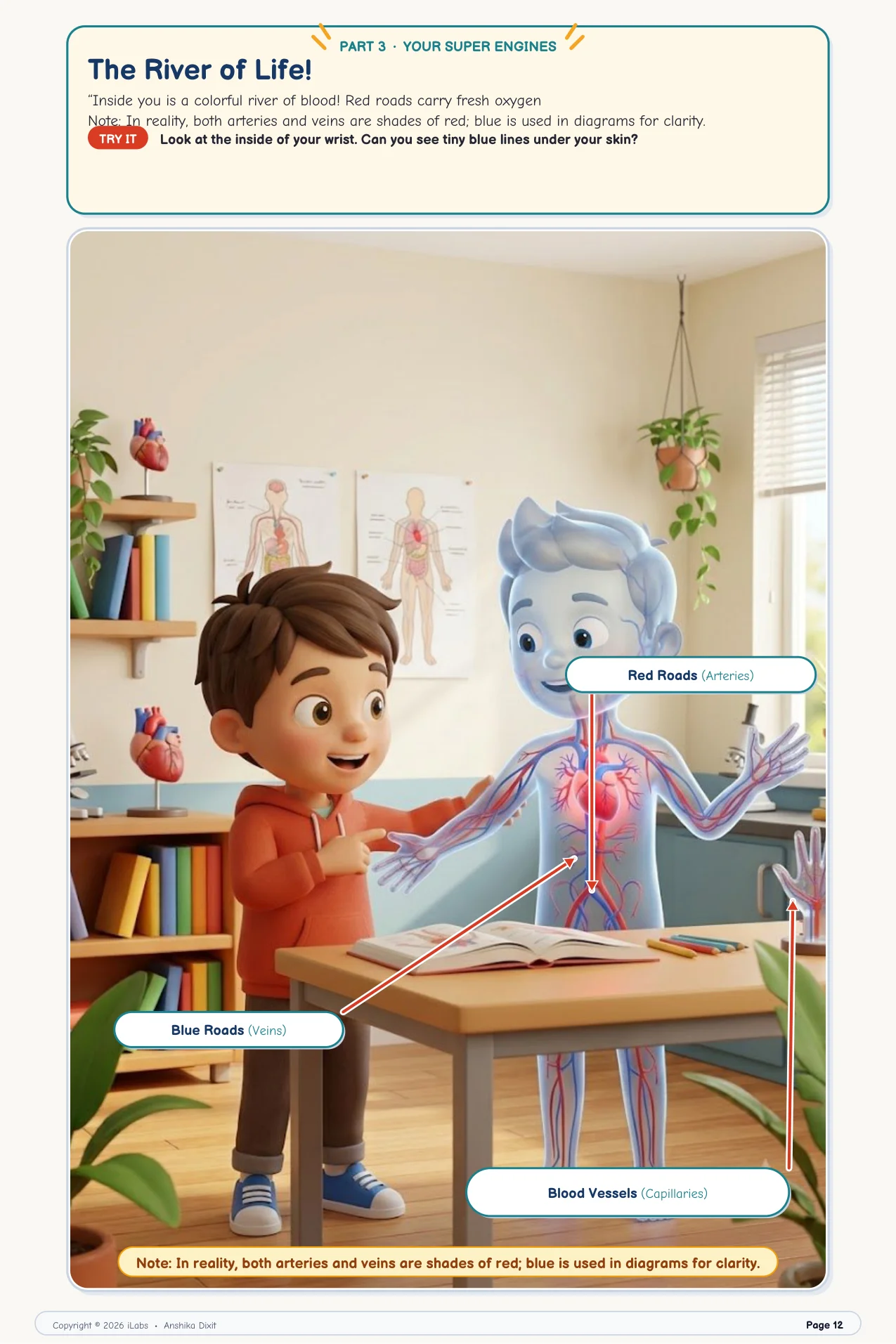 Super Sensory Cables & Nervous Feedback Loops