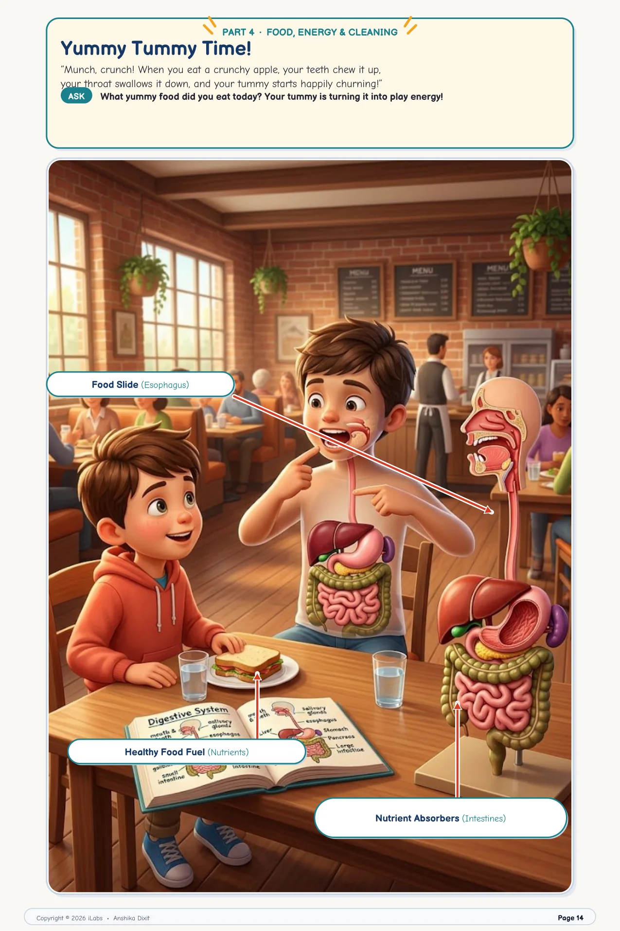 Yummy Tummy Time: The Digestive Engine