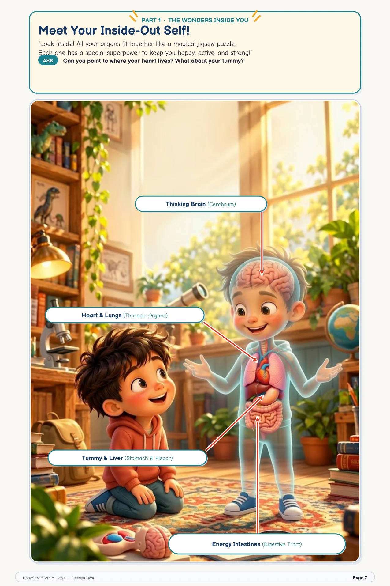 Inside-Out Boy Transparent Organ Map (Book 2)