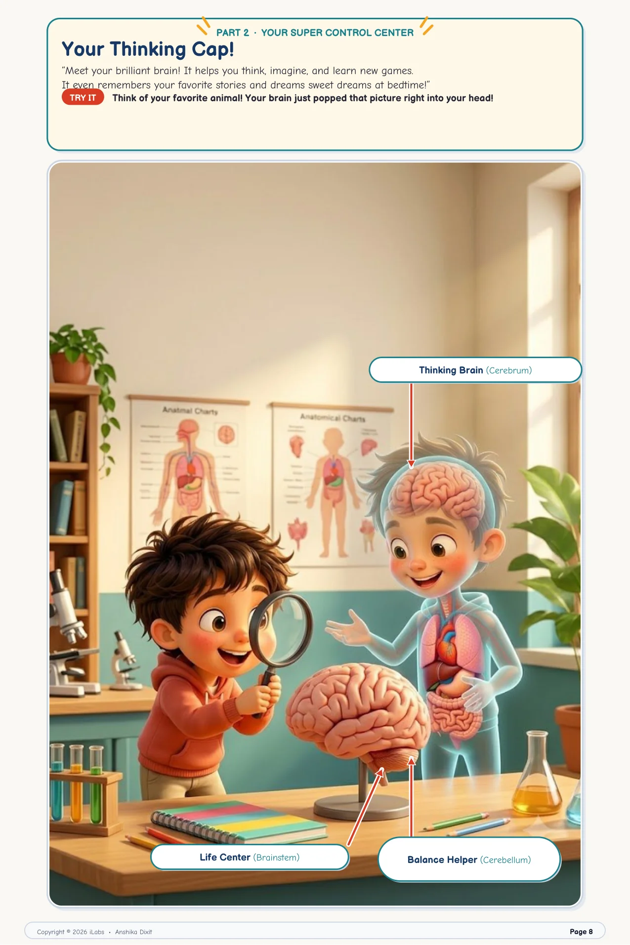Your Thinking Cap: The Brain & Nervous Network