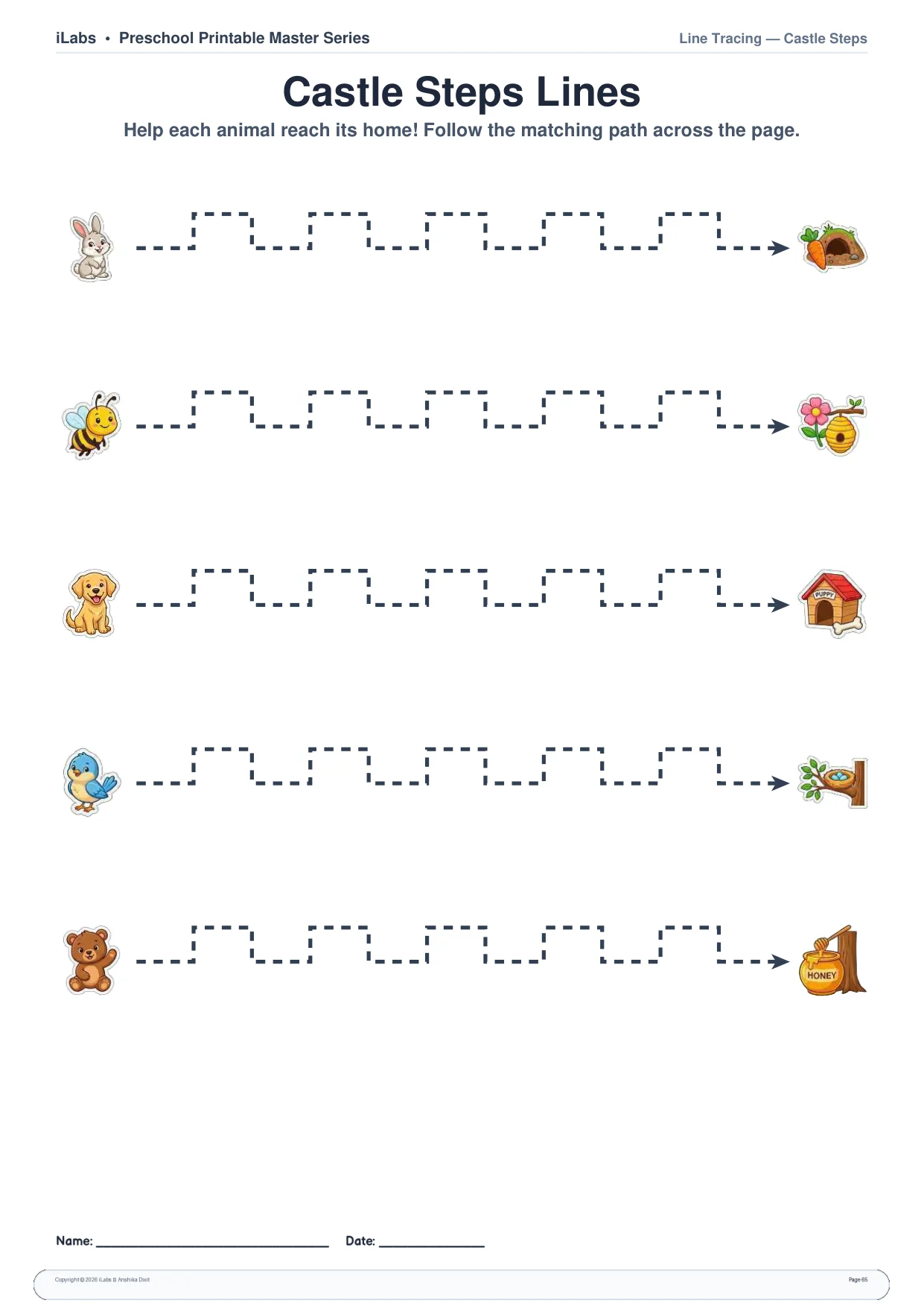 Curved Line Pencil Control & Animal Mazes